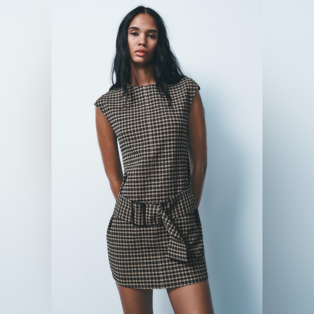 Zara Black and Tan Checkered Dress